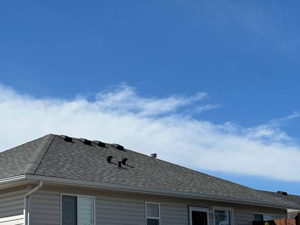 Best Roof Ventilation Installation  in Baytown, TX